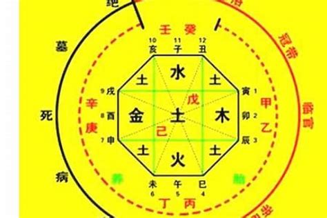 八字表格|生辰八字算命、五行喜用神查詢（免費測算）